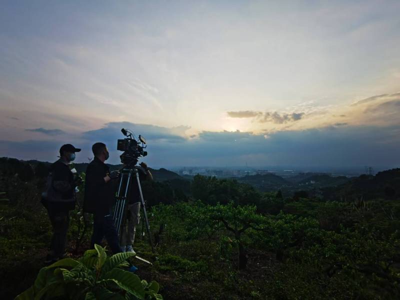 聚焦大田县产品宣传视频拍摄公司，用专业实力铸就品牌传播传奇