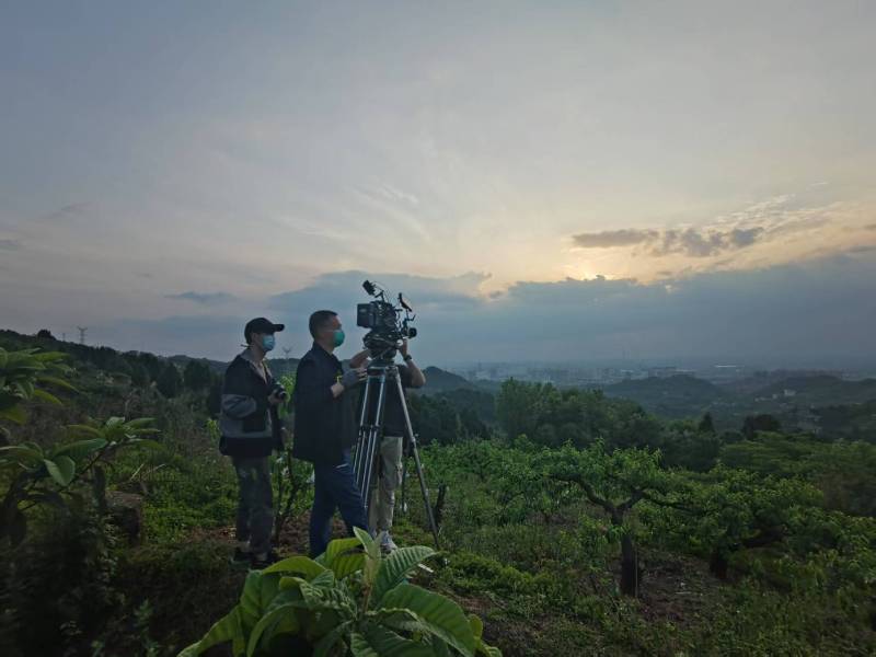 创意破圈！大田县电商产品宣传视频用故事化叙事引爆流量
