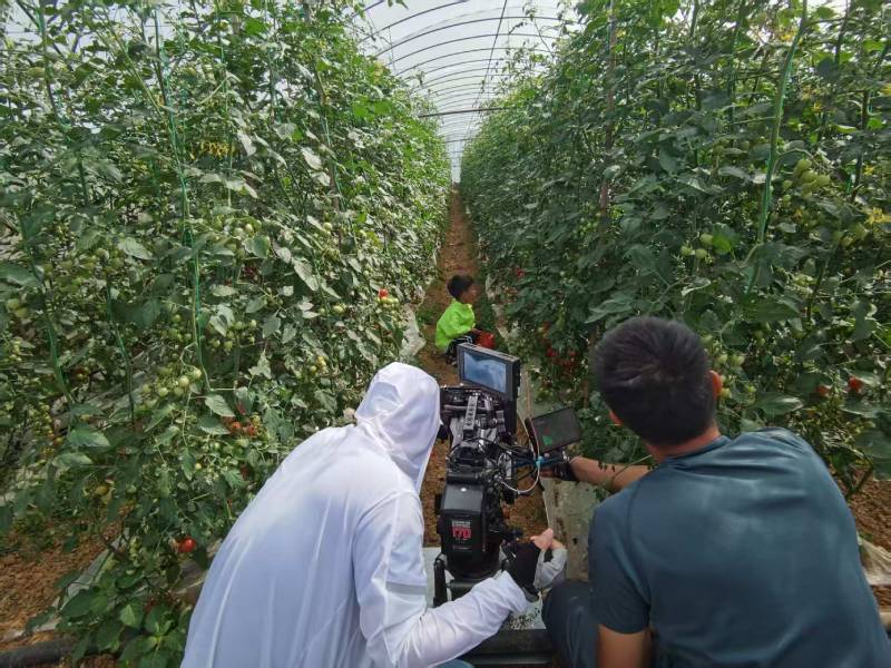 大田县产品宣传视频拍摄公司进阶指南，助力品牌抢占传播高地